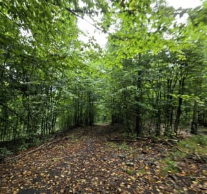 Czupel z Czernichowa - Czernichów - 4