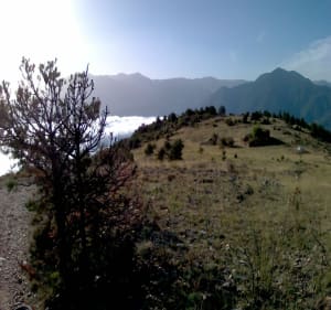 Serdinya, Refuge de Roquefumade - Serdinya - 4