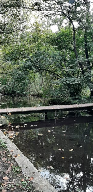 Valmont entre terre et rivière - SANDRA - 7