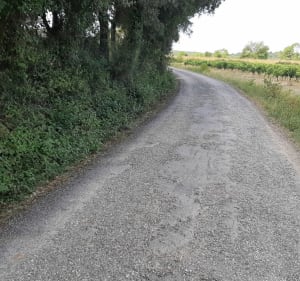 Balade autour de ceceles - Jacou - 3