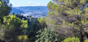 Boucle depuis Castagniers - Castagniers - 6