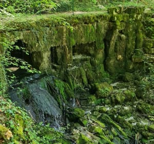 Près de Vaux, Thoraise et les sources d'Arcier - Jean Michel - 2