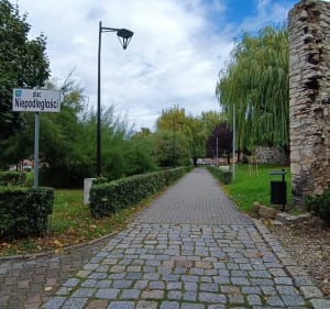 Dookoła Rynku i Krapkowice - Krapkowice - 2