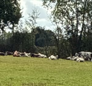 En passant par la vallée de la Vie - ROGER - 5
