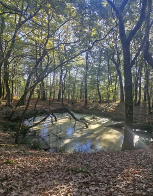 Boucles des Eaux - Lanquais - marilyne - 6