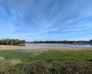 Les bords de la Loire à Vélo par Saumur et Gennes - Michel - 2