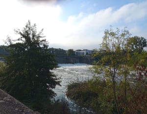 Le long des rives de Meurthe "Malzeville - Tomblaine" - Chantal - 5