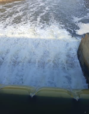 Le long des rives de Meurthe "Malzeville - Tomblaine" - Chantal - 6
