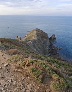 Nez de Jobourg, falaises et bocages normands - Cédric - 4