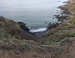 Nez de Jobourg, falaises et bocages normands - Cédric - 6