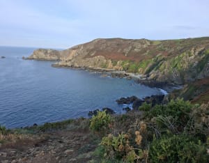 Nez de Jobourg, falaises et bocages normands - Cédric - 7