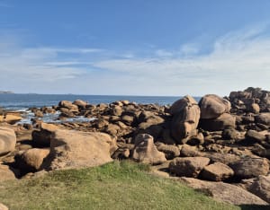 Trégastel et tour de l'île Renote - audrey - 4