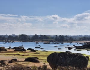 Trégastel et tour de l'île Renote - audrey - 7