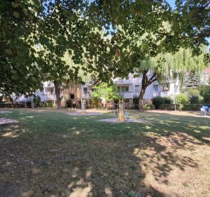 Park spacerowo z psem - Ewa - 3