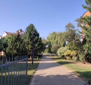 Park spacerowo z psem - Ewa - 4