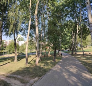Park spacerowo z psem - Ewa - 5
