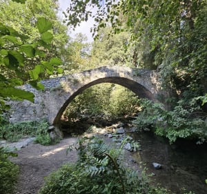 Cascade et pont Génois et San-Nicolao - Santa-Maria-Poggio - 3