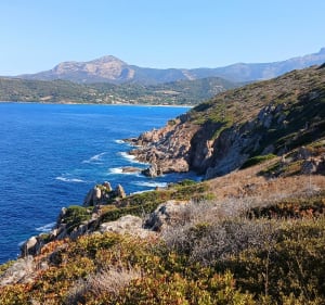 Pointe de Puntiglione et tour Genoise - Cargèse - 2