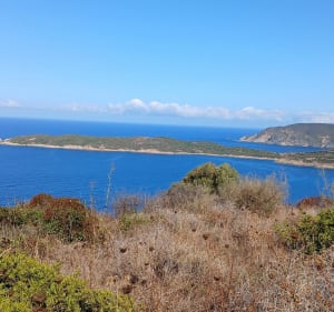 Pointe de Puntiglione et tour Genoise - Cargèse - 5