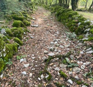 Causse Miers - Miers - 4