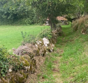 Causse Miers - Miers - 5