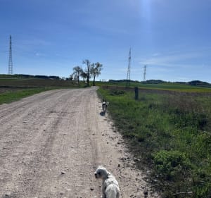 Dookoła jeziora stradunskiego - Straduny - 2