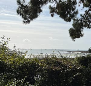 Autour de la Trinité sur mer - Herve - 3