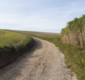 Tour de Capelle-lès-Hesdin - Capelle-lès-Hesdin - 2