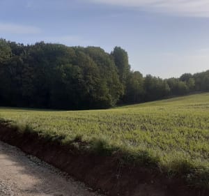 Tour de Capelle-lès-Hesdin - Capelle-lès-Hesdin - 3