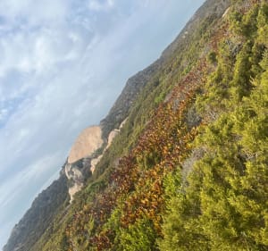 Boucle de la Punta di Ventilegne - Figari - 2