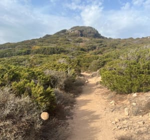 Boucle de la Punta di Ventilegne - Figari - 3
