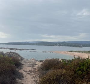 Boucle de la Punta di Ventilegne - Figari - 5
