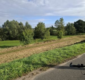 Balade vers Muides-sur-Loire - Yanice - 3