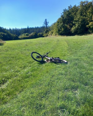 Forêt Escandorgue. - FRANCESCO - 11