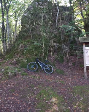 Forêt Escandorgue. - FRANCESCO - 12