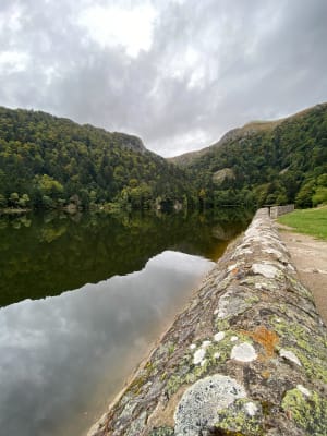 Départ le Honneck, kastelberg, lac de schiessrothried.... - La bresse - 11