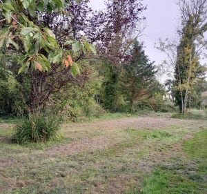 Découverte des étangs de Baulne - Michele - 3