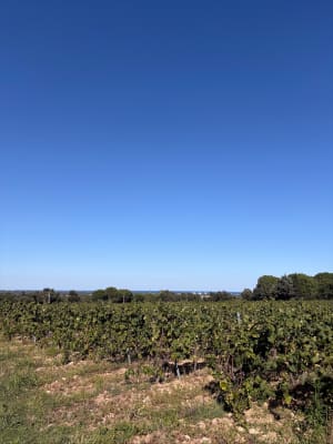 Notre Dame de vie depuis Argeles Village - Tifanny - 9