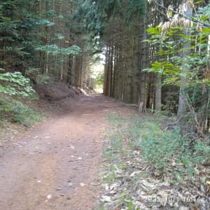 Balade près de la croix du sud autour du col de la charmette - jacques - 6