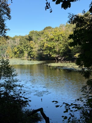 Balade nature le long du Gesvres - Kevin - 5