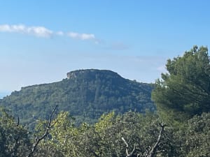 De Peyruis au plateau de Ganagobie à travers la forêt. - Denis - 7