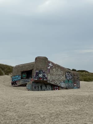Balade entre dunes et mer - Vincent - 3