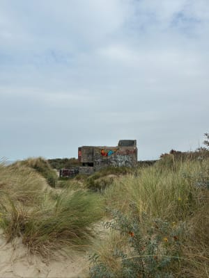 Balade entre dunes et mer - Vincent - 4