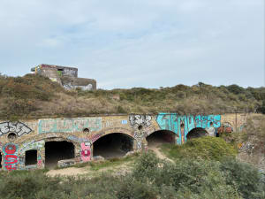 Balade entre dunes et mer - Vincent - 5