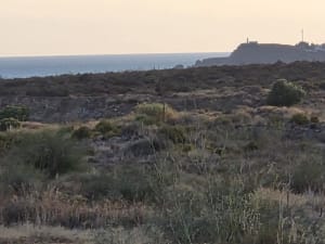 Découverte de l'Île aux Moines à vélo - Île-aux-Moines - 5