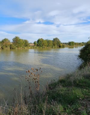 Sortie Angles - plage Saint Anne - Dany - 2