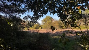 Les Dunes des Charmes à Sermoyer - Laurent - 4