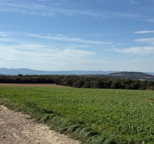 Direction la Chapelle Saint-Maxime et Grandes Granges - Serpaize - 2