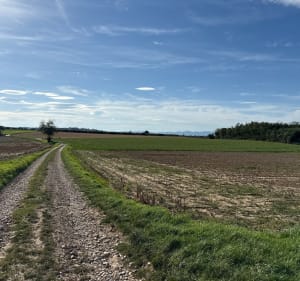 Direction la Chapelle Saint-Maxime et Grandes Granges - Serpaize - 3