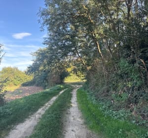 Direction la Chapelle Saint-Maxime et Grandes Granges - Serpaize - 4